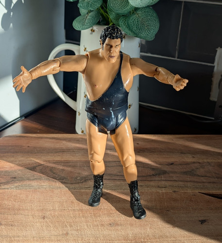 Jakks pacific wrestling - wrestling, action