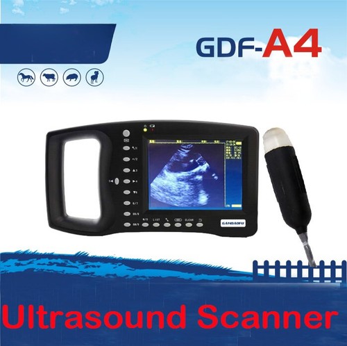 Veterinary ultrasound scanner - ultrasound,