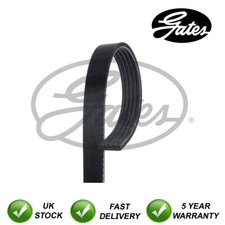 Gates ribbed belts fits - gates, fiat