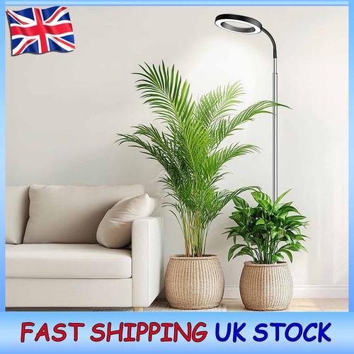 Grow lights for indoor plants - grow,