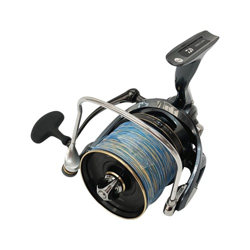 Daiwa surf basia - surf, 21