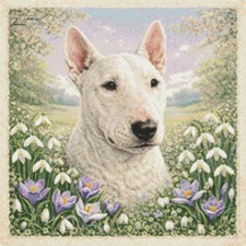 Bull Terrier Puppy Dog In