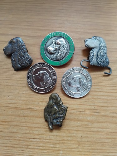 English springer spaniel lapel - english,