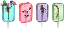Insect Sucker Lollipop Bundle