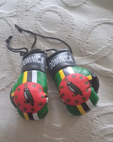 Dominica flag mini boxing - mini,