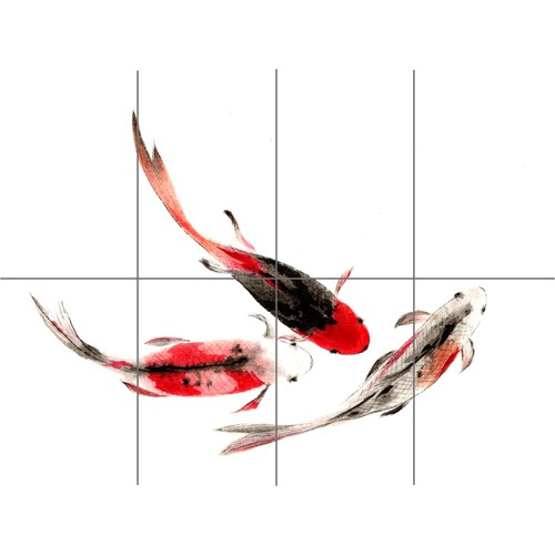 Japanese koi fish black and - koi,
