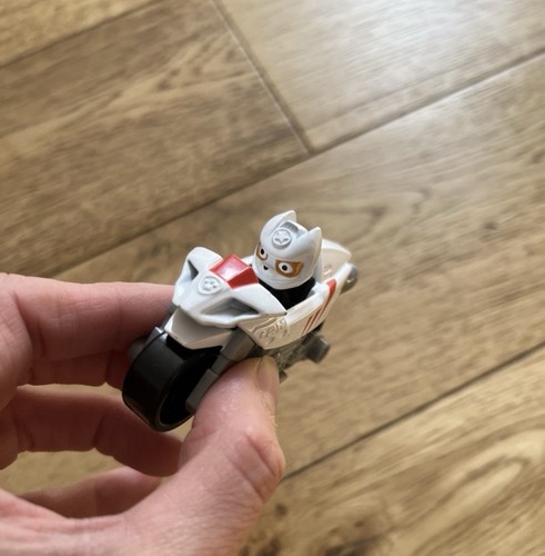 Paw patrol true - paw, cat
