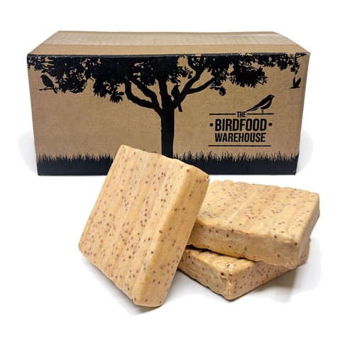 Suet blocks pack - 10, –