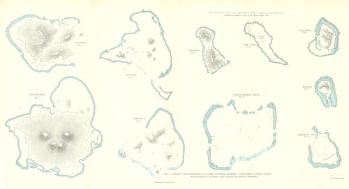 Darwin coral fringing reefs - fringing,