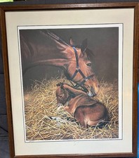 Judi Kent Pyrah Framed Ltd Ed