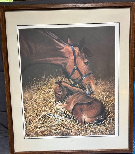 Judi kent pyrah framed ltd - framed,