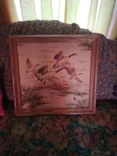 Canadian Geese In Flight