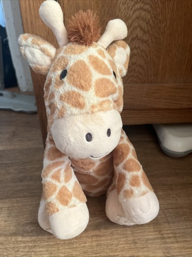 Cute sainsbury soft - cute,