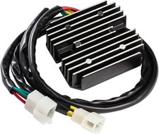Ricks Lithium-Ion Compatible