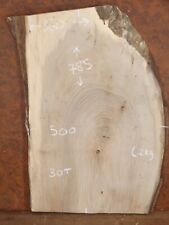 360-500x785x30mm English Walnut Planed Plank/Slab Hardwood Timber (090101)