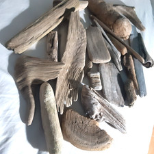 Mixed collection of driftwood
