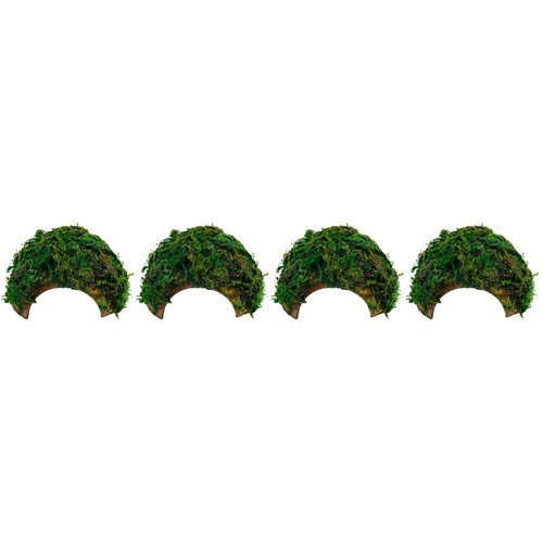 Count reptile tank - ,