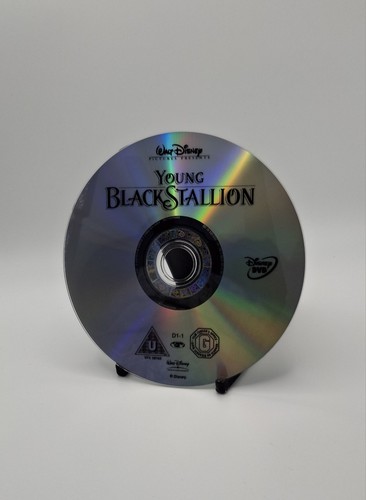 The young black stallion dvd - black,