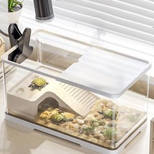 Turtle Tank Amphibians Bottom