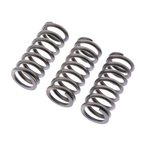 Clutch springs kit - ebc, csk243