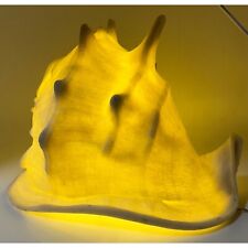 Unique Conch Shell Accent Lamp