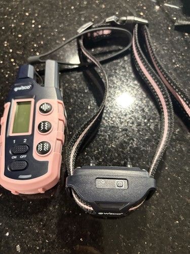 Training collar pink noise - collar,