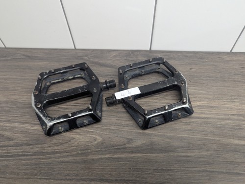 Dmr vault brendog - -,