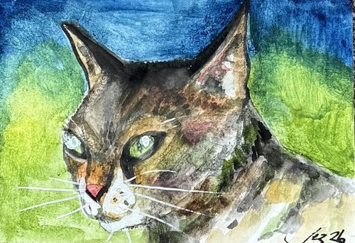 Aceo original ink cat - original, feline