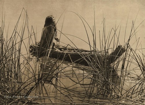 1900 edward curtis - edward,