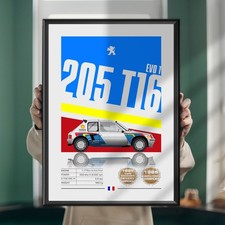 Peugeot 205 T16 Evo 1, Timo