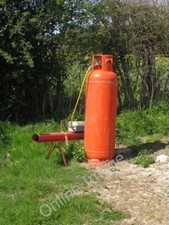 Photo 6x4 Bird Scarer