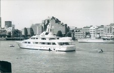 yacht Battered bull in pool of