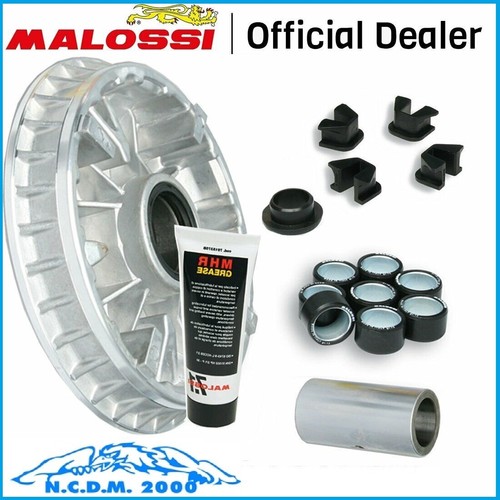 Malossi 5113595 variomatic - malossi,