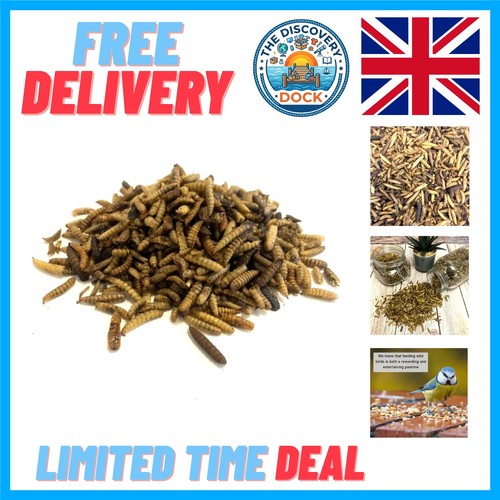 1kg dried calciworms perfect - dried, calciworms: