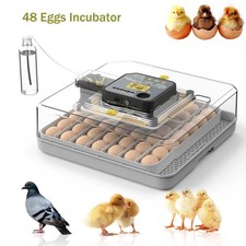 Digital 48 Eggs Electric