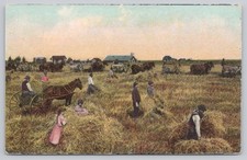 Vintage Farm Harvest Scene Horse-Drawn Equipment Postcard