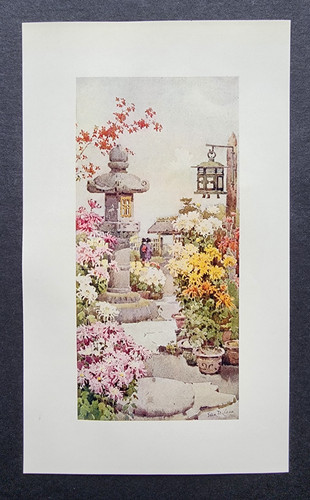 Antique 1908 print - antique,