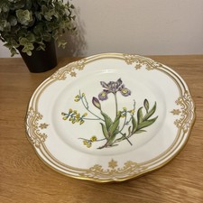 Spode Stafford Flowers | Iris & Sphaerolobium (F1651) 9.25" 24cm Plate PRISTINE