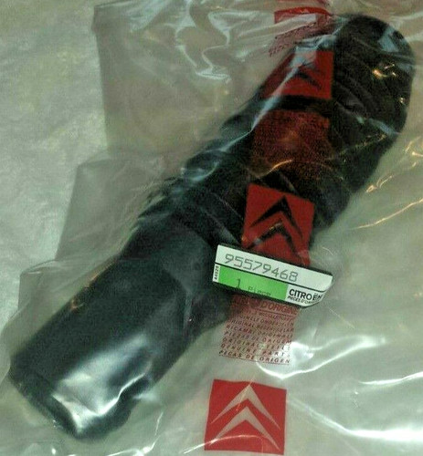 Citroen front leg - front,