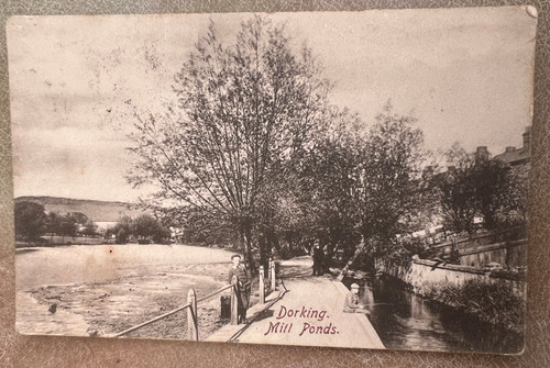 Antique postcard dorking - postcard,