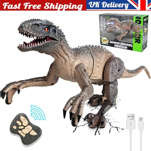 Remote control dinosaur - remote,