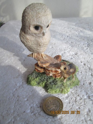 Border fine arts white owl - fine,