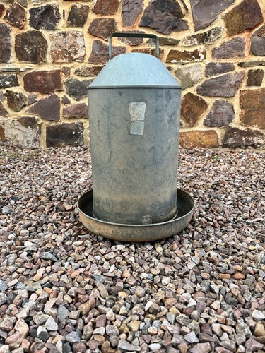 Galvanised metal chicken - ,