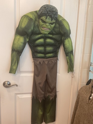 Marvel avengers hulk costume - avengers,