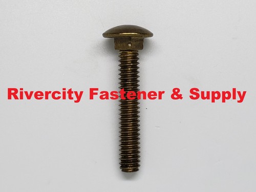 20x1 2 brass carriage - 1/4-20x1-1/2,
