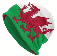 NEW, Flag of Wales - Soft