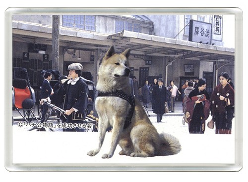 Akita dog fridge magnet - akita, great
