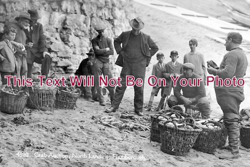 674 crab auction - yo, auction,