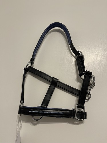 Mini shetland head collar - head, in