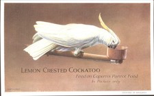 Vintage Lemon Crested Cockatoo